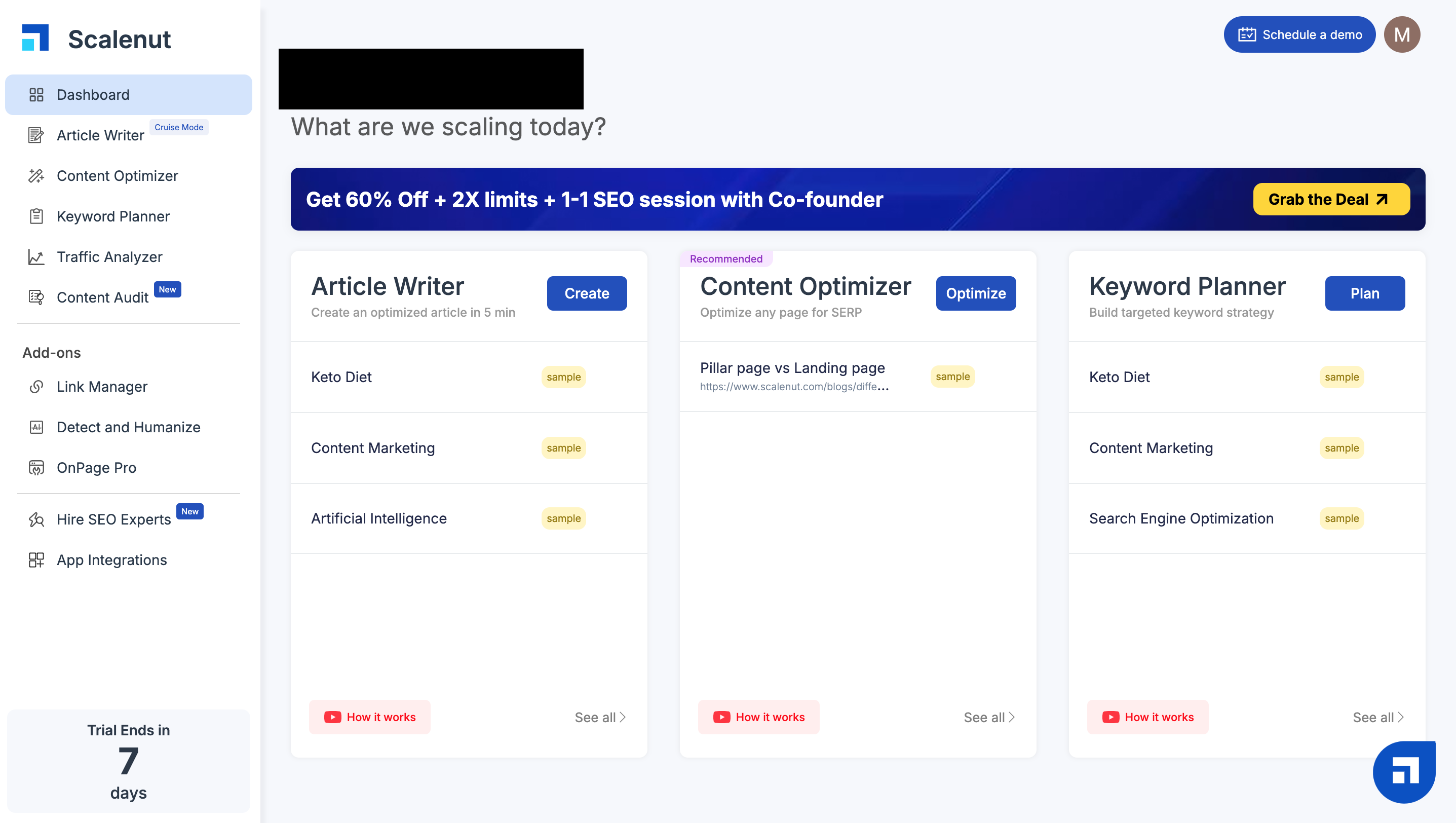Scalenut Dashboard